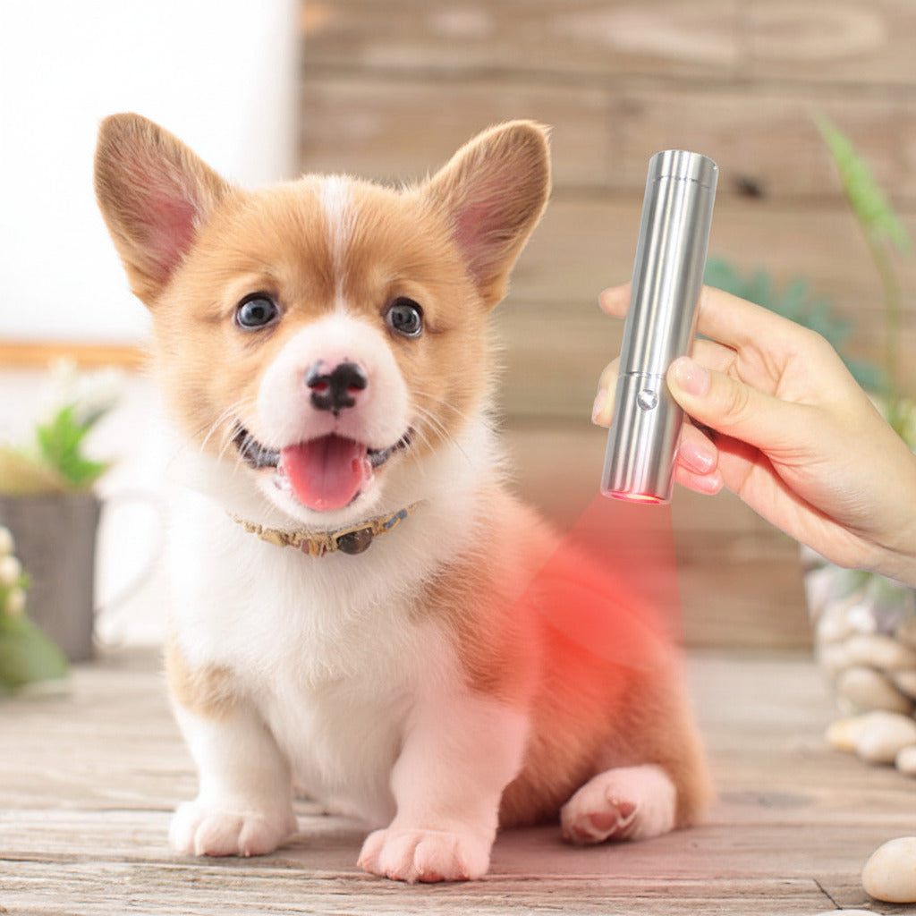 LUMI Torch™
